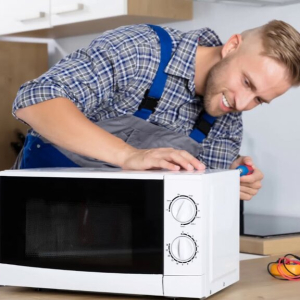 Microwave-oven-disassembly