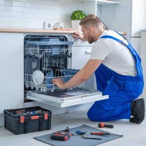dishwasher-cheking