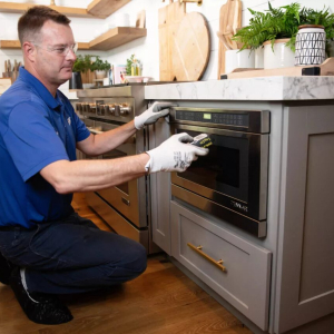 oven-temp-measuring